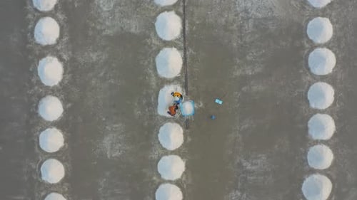 Aerial top view of farmers making heaps of raw sea salt piles with sea. Farm field outdoor. Nature