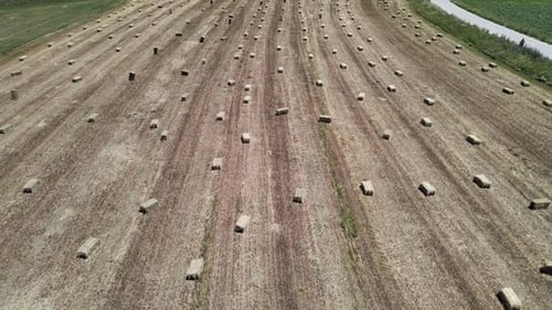 Drone Flight Straw bale