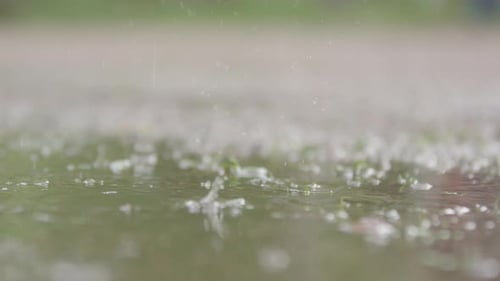 ZEITLUPE, FLACHER FOKUS - Regentropfen in einer Pfütze
