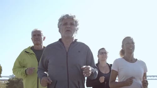Four Adults Jogging Together on Sunny Day