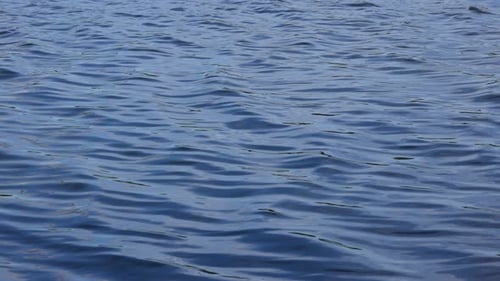 Blue Water Ripples on a Sunny Day