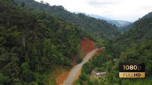 AH - Road In The Forest V1