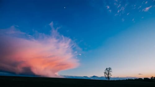 Time Lapse Time-lapse Timelapse Of Lonely Tree Growing In Spring Field At Sunrise. Morning Sunrise