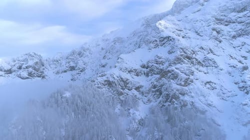 Snowy Mountain Peaks and Evergreen Forest in Winter