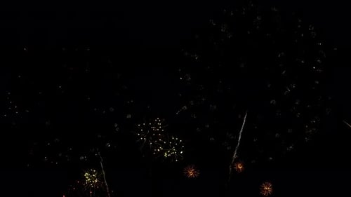 Bright Fireworks Exploding in Night Sky