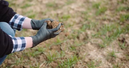 Landwirtschaft, Boden, Landwirt untersucht Boden in Händen