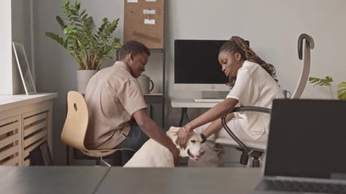 Colleagues Playing with Labrador in Office