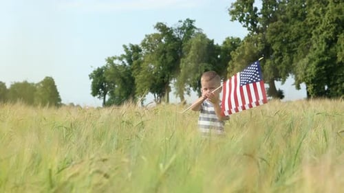 Young Child Waving American Flag in Grassy Field