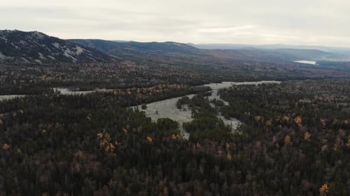 Aerial View of the River of Stones Among the Dense Coniferous Forest and the Top of the Mountain