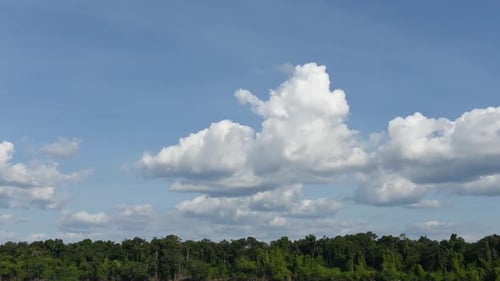 Clouds Moving Above Lush Green Forest in Daytime