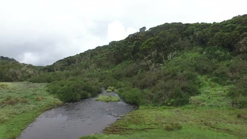 Aerial view of a stream and forest