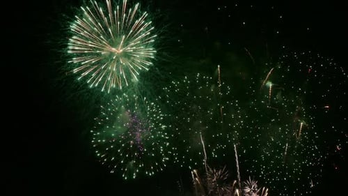 Fireworks Display Exploding in the Night Sky
