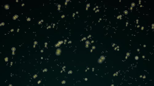 Abstract Floating Microscopic Particles Science Background