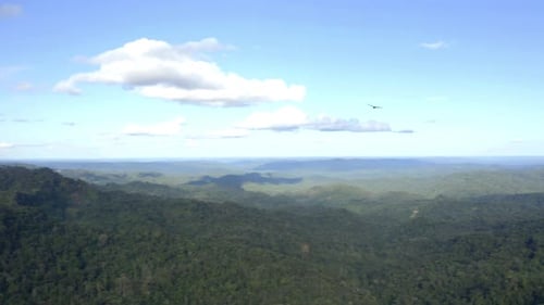 Aerial View of Lush Green Tropical Mountains