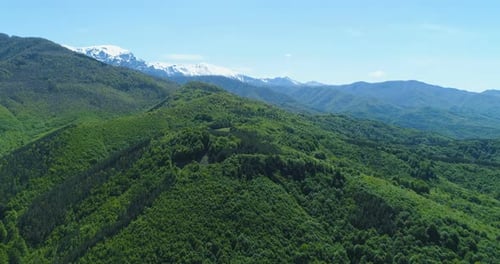 Panoramic View of Snowy Mountain Range and Magnificent Green Forest and Hills. Majestic Mountain