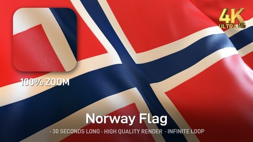 National Flag of Norway Seamless Waving Animation