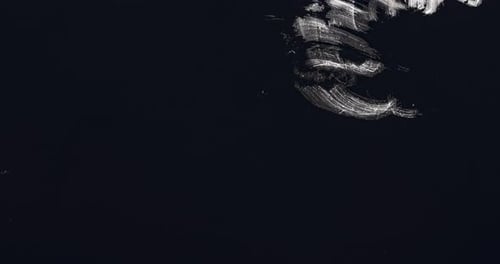 Grungy White Paint Brush Stroke Reveal Transition