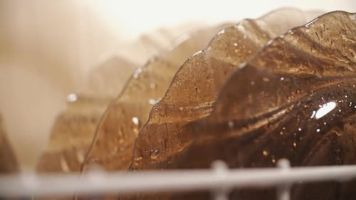 Close up of Brown Glass Plates Drying in Rack