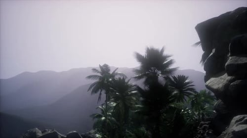 Scenic Tropical Mountain Landscape with Palm Trees Animation