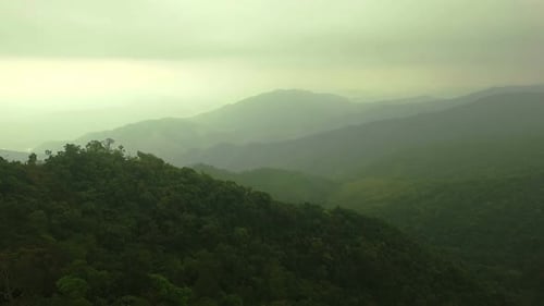 Vue aérienne au-dessus de la forêt de montagne 02