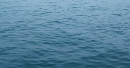 Sea surface wave