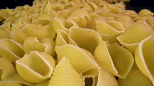 Close Up of Uncooked Conchiglie Pasta Shells