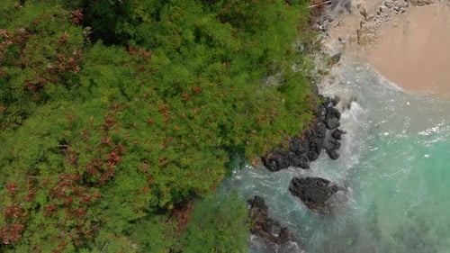 Aerial Shot of a Fantastic Blue Lagoon Beach on the Bali Island with a Crystal Clear Blue Water and