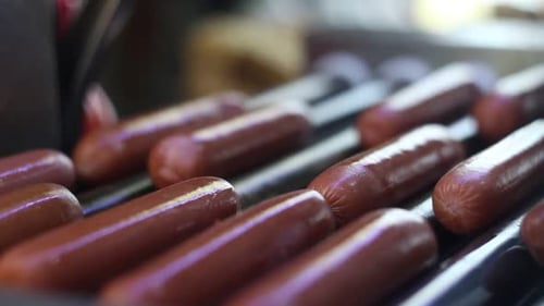 Tasty Sausages On The Grill