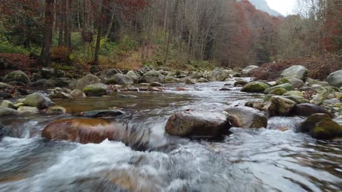 Autumn Mountain River Water Flow Aerial View