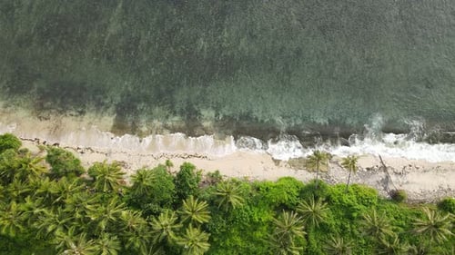 Beach Waves