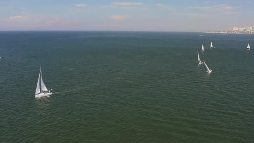 Regatta auf See