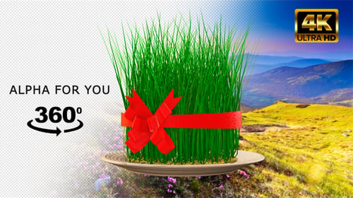 Animated Sabzeh with Red Ribbon for Nowruz Celebration