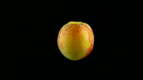 Peach tombe dans l'eau au Ralenti. Isolé sur fond noir avec Alpha. Vue rapprochée