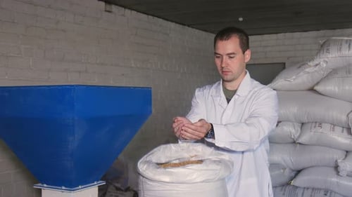 Barley Malt in Bags. The Production of Beer. Grain. Raw Materials for Brewing.