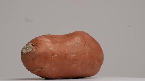 Single Raw Sweet Potato on White Surface