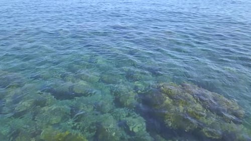 Tropical exotic sea bed, clear transparent ocean water in summer.