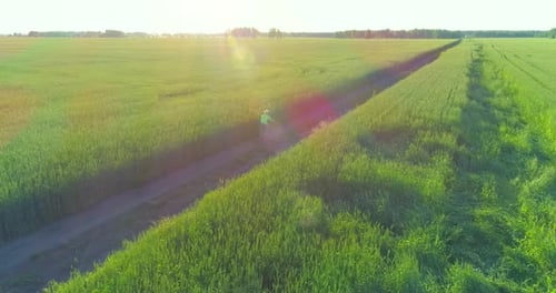 Aerial View on Young Boy, That Rides a Bicycle Thru a Wheat Grass Field on the Old Rural Road