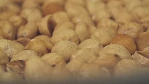 Close up of Shelled Hazelnuts
