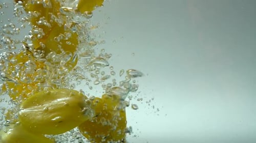 Petals of Tulips Fall in Water 7
