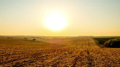Sunset on Autumn Corn Field. Time Lapse