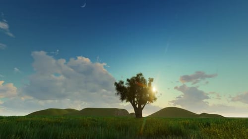 Day to Night Timelapse with Lone Tree on Grassy Hills