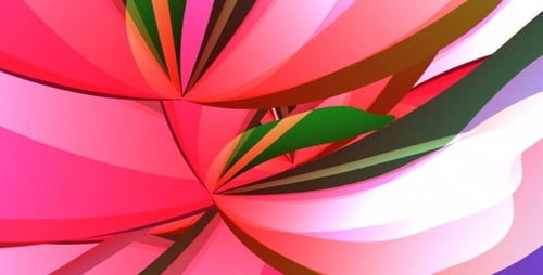 Tropical Flowers - Loop