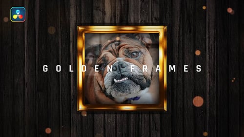 Animated Gold Picture Frames Slideshow for Memories