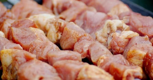 Marinated Meat on Skewers Ready for Grill