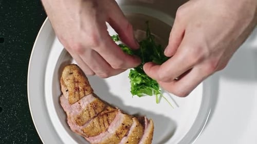 Restaurant Gourmet Dish