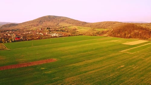 Drone Flies Above Meadow in Village