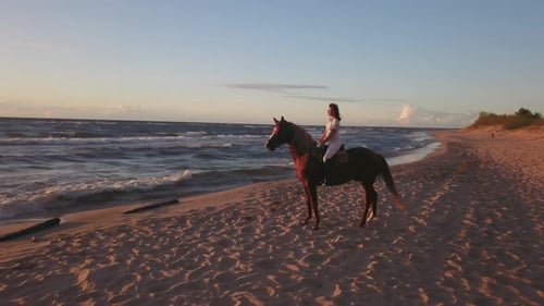 Girl in white on horse sitting on a beach, 4k