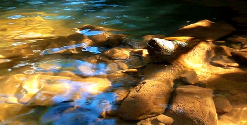 The Stones Of The Mountain River