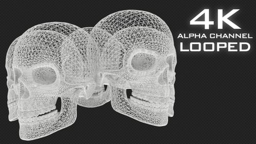 White Skull Structures 4K