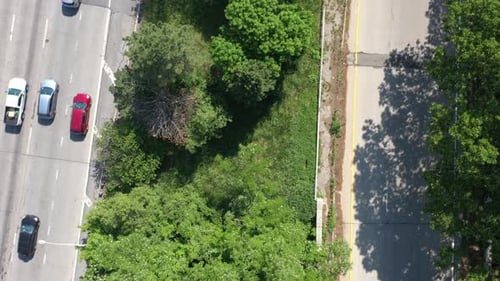 Una vista de arriba hacia abajo, directamente sobre la mediana de una avenida con árboles verdes y césped. La plataforma rodante de la cámara en lento